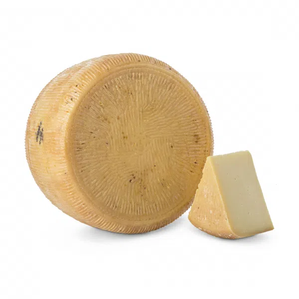 Pecorino Tumarrano